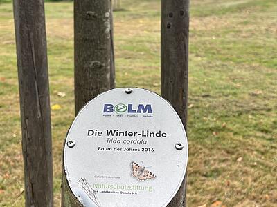 Ein Schild am Baum gibt an, um welche Art es sich handelt.