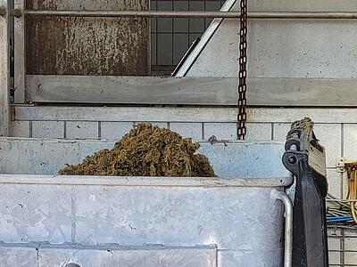 Schmutz nach mechanischer Reinigung