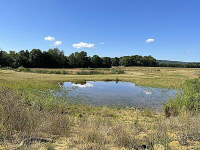 Eine flache Wasserfläche inmitten von Gräsern und Büschen. Im Hintergrund die mäandrierende Hunte. Ihr Verlauf wird von Gehölzen begleitet.