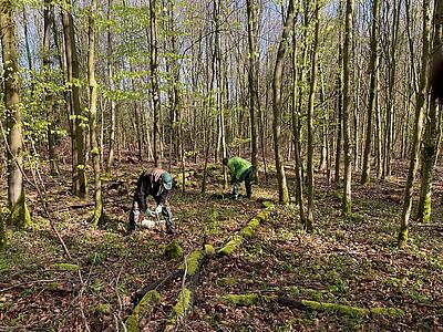 Männer beim Verlegen der Verkabelungen im Wald 